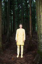 Load image into Gallery viewer, Jim hopper Kurta
